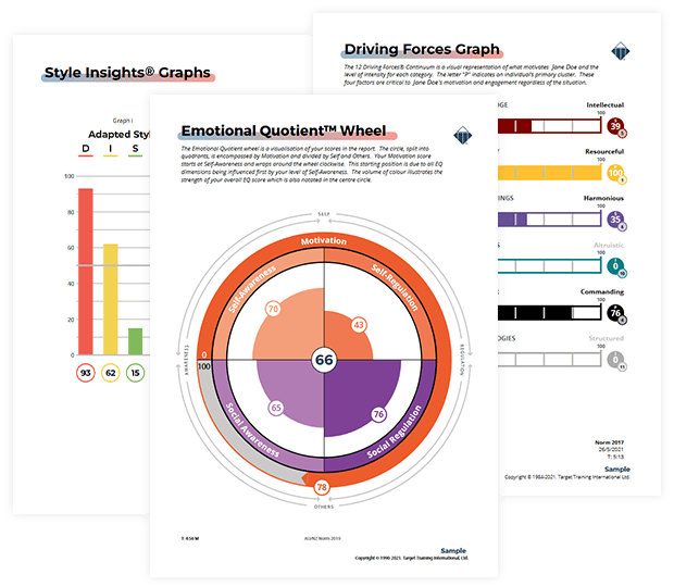 TriMetrix® EQ – Behaviours Motivators Emotional Intelligence Assessment