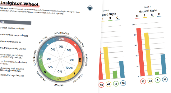 DISC Profile